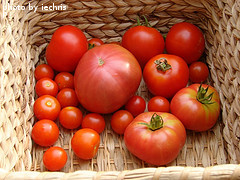 Different Tomato Varieties In Basket