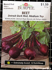 beet seed packet