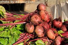 harvested beets