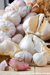 Different Garlic Varieties