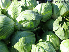 Green Cabbage Heads