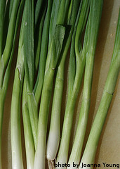 Green Onions