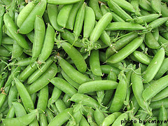 Harvested Sugar Peas