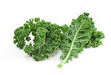 variety of kale