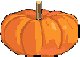 growing pumpkin