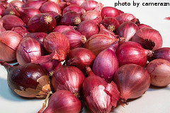 Red Onion Sets