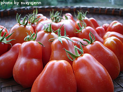 Roma Tomatoes