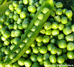 Shelled Peas Shelled Peas