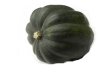 acorn squash icon