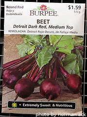 beet seed packet