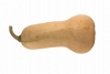 butternut squash icon