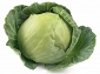 cabbage icon