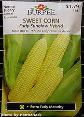Corn Seed Packet