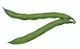 green bean icon