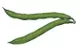 green bean icon