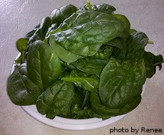 harvested spinach leaves