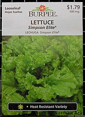 Lettuce Seed Packet