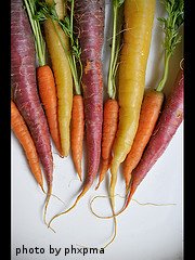 Multi-Colored Carrots