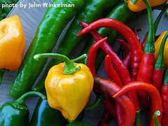 Multi-Colored Hot Peppers