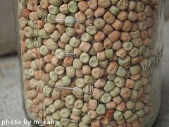 jar of saved pea seeds