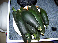 Harvested Zucchini