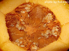 inside of pumpkin