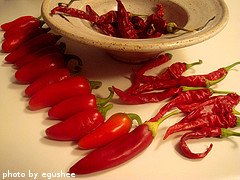 Fresh and Dried Red Chili Peppers