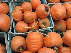 Round Carrots Round Carrots