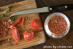 saving tomato seeds