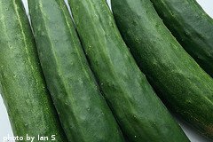 Mature Slicing Cucumbers