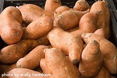 bunch of sweet potatoes